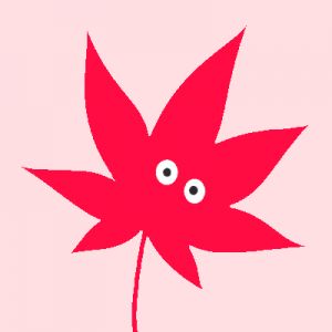 専門家プロフィール画像