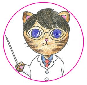 おにゃんこ先生の画像